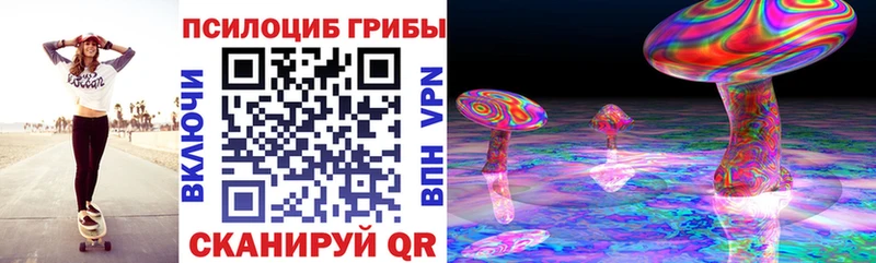 mega ТОР  Славск  Псилоцибиновые грибы MAGIC MUSHROOMS  цены наркотик 